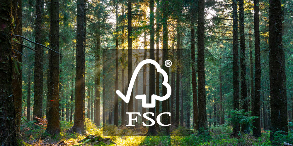 FSC Titelbild